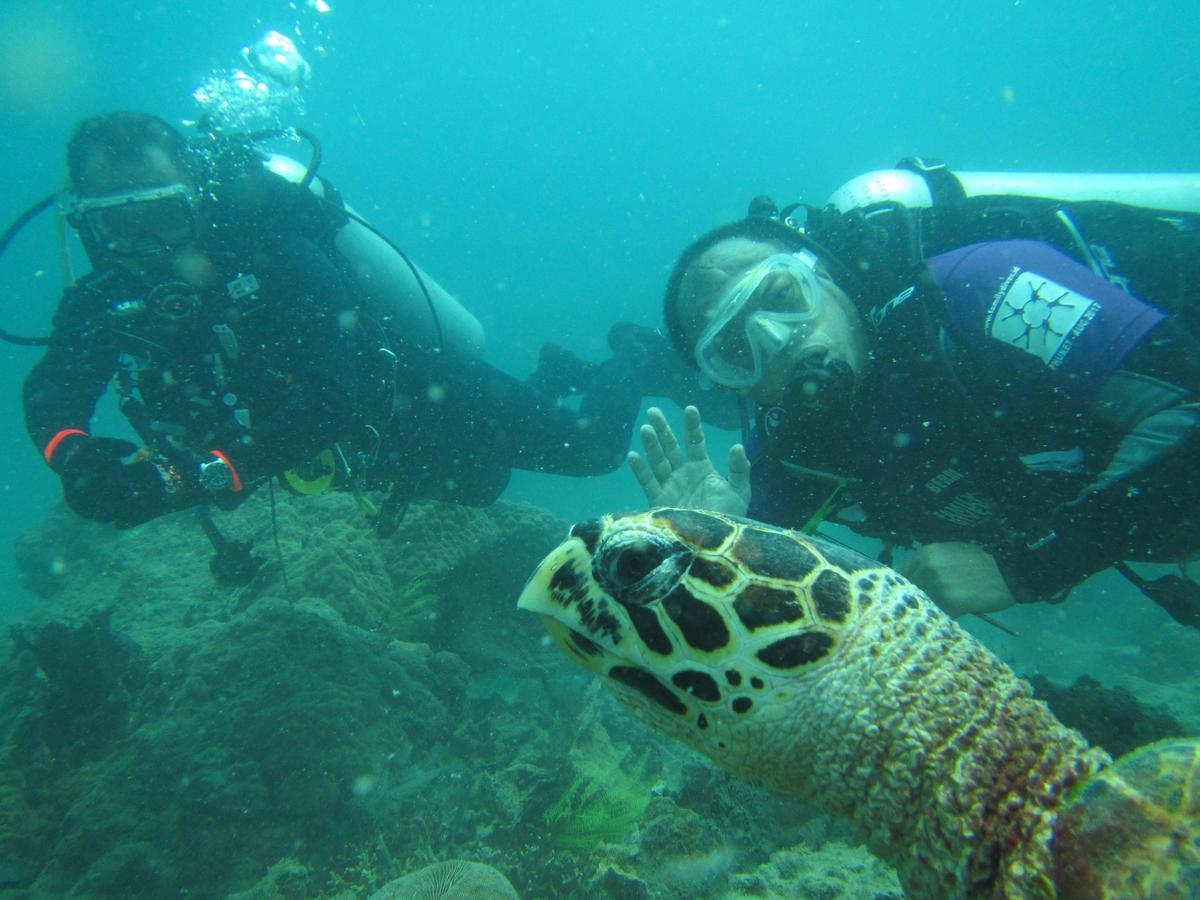 Dermaga Resort Pramuka Kepulauan Seribu Eksteriør bilde